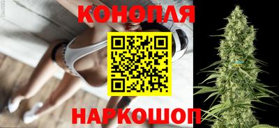 прущие грибы Наро-Фоминск