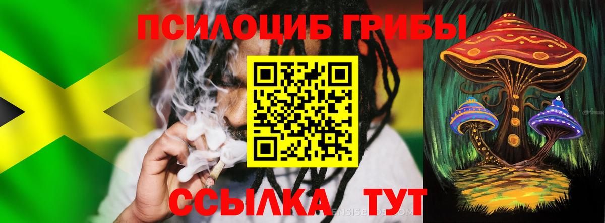 Галлюциногенные грибы Cubensis Фурманов